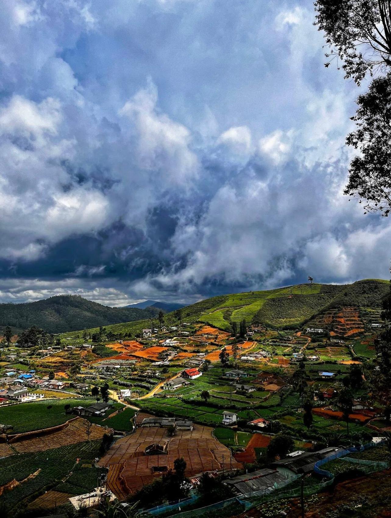 נוארה אליה Cabin 7000 Feet Nuwaraeliya מראה חיצוני תמונה