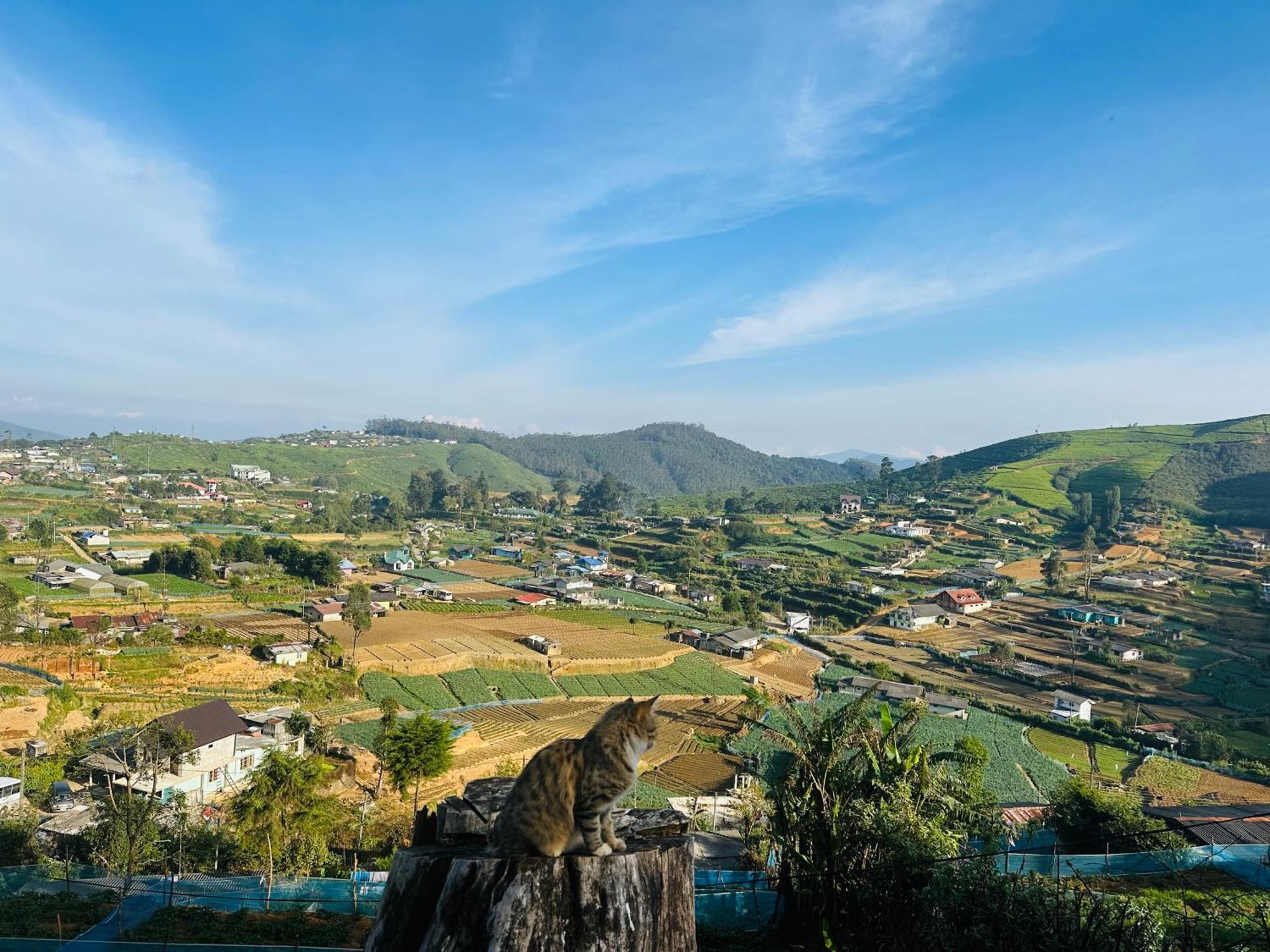 נוארה אליה Cabin 7000 Feet Nuwaraeliya מראה חיצוני תמונה