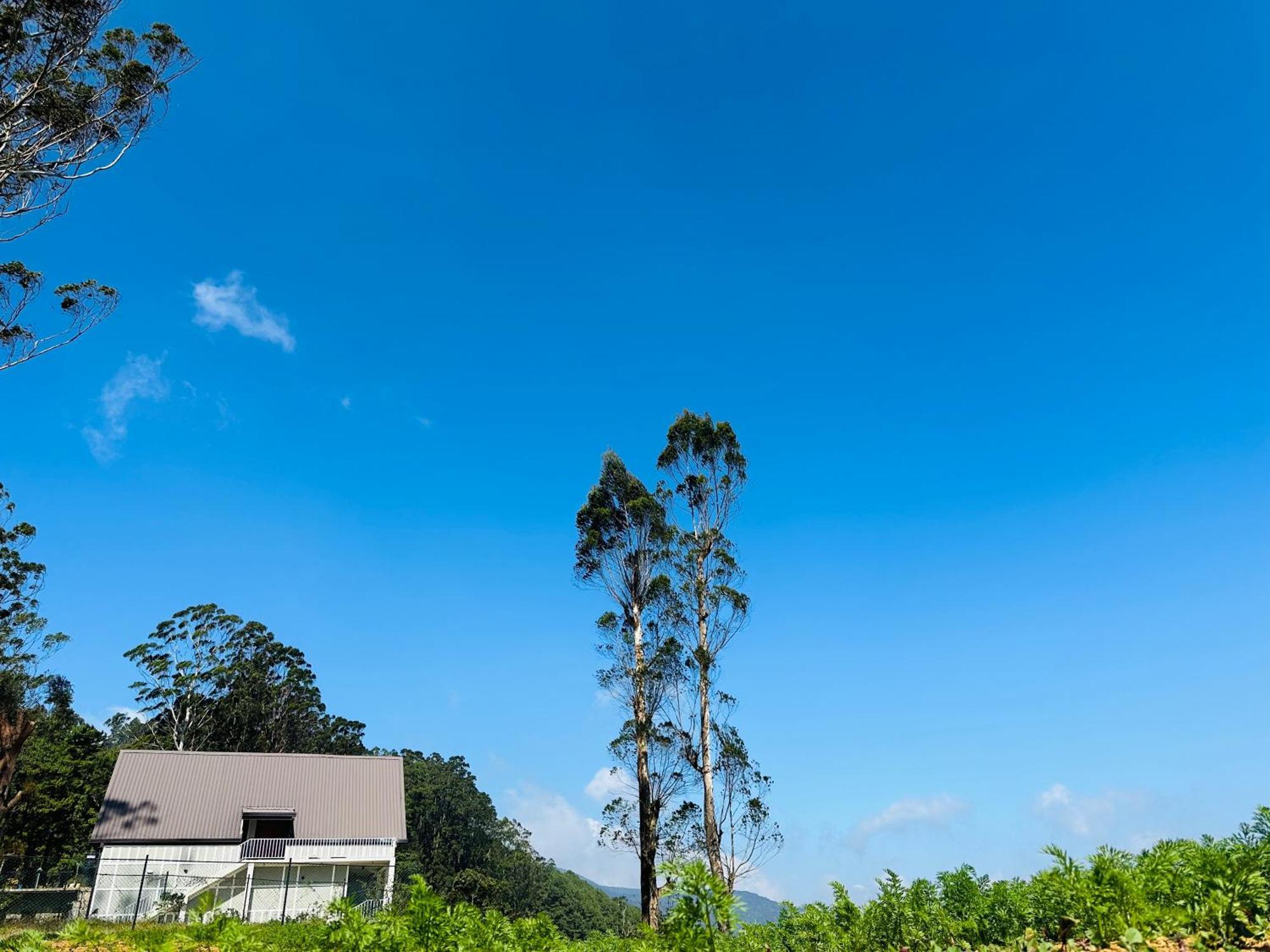 נוארה אליה Cabin 7000 Feet Nuwaraeliya מראה חיצוני תמונה